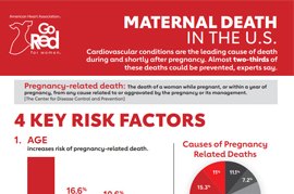 Maternal Death in the U.S. Infographic Maternal Death in the U.S. Infographic